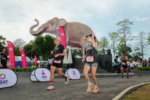 BIB: 
                            <button type="button" onclick="openModal(26529022)" class="btn btn-primary btn-sm float-right btn-popup" data-toggle="modal" data-target=".modal-high-quality">
                        <i class="fas fa-shopping-cart"></i> Add to Cart
                    </button>
                                            <button type="button" onclick="isThisMe(26529022, true)" class="btn btn-success btn-sm float-right btn-popup btn-isme hidden" data-toggle="tooltip" data-placement="bottom" title="นี่คือรูปของคุณใช่ไหม คลิกที่นี่เพื่อเอาเข้าอัลบั้ม">
                        <i class="fas fa-plus"></i> Add to album
                    </button>
                    <button type="button" onclick="isThisMe(26529022, false)" class="btn btn-warning btn-sm float-right btn-popup btn-isnotme hidden">
                        <i class="fas fa-ban"></i> Remove from album
                    </button>